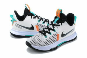 Lebron Witness 5