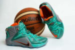 Nike Lebron James 12