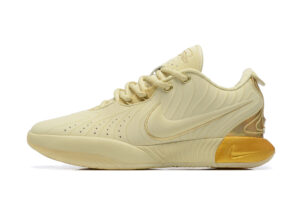 Nike LeBron 21
