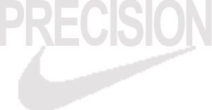 Nike Precision