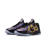 Купить Nike Kobe 5 Protro Year Of The Mamba Eggplant в Минске