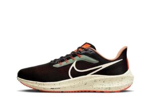 Nike Air Zoom Pegasus 39 (Предзаказ), купить с доставкой