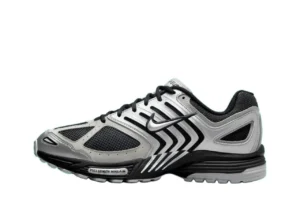 Nike Air Pegasus 2K5 (Предзаказ), купить с доставкой