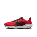 Nike Pegasus 41 (Предзаказ), купить с доставкой