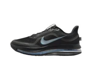 Nike Pegasus Premium (Предзаказ), купить с доставкой