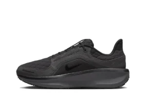 Nike Winflo 11 (Предзаказ), купить с доставкой
