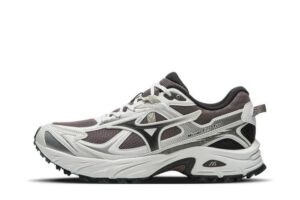 Mizuno FIYI TL V2 (Предзаказ), купить с доставкой