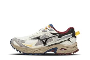 Mizuno FIYI TL V2 (Предзаказ), купить с доставкой