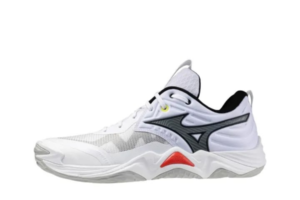 Mizuno WAVE MOMENTUM ELITE (Предзаказ), купить с доставкой