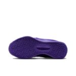 Официальная покупка Nike KD19  Purple Stuff (Предзаказ)